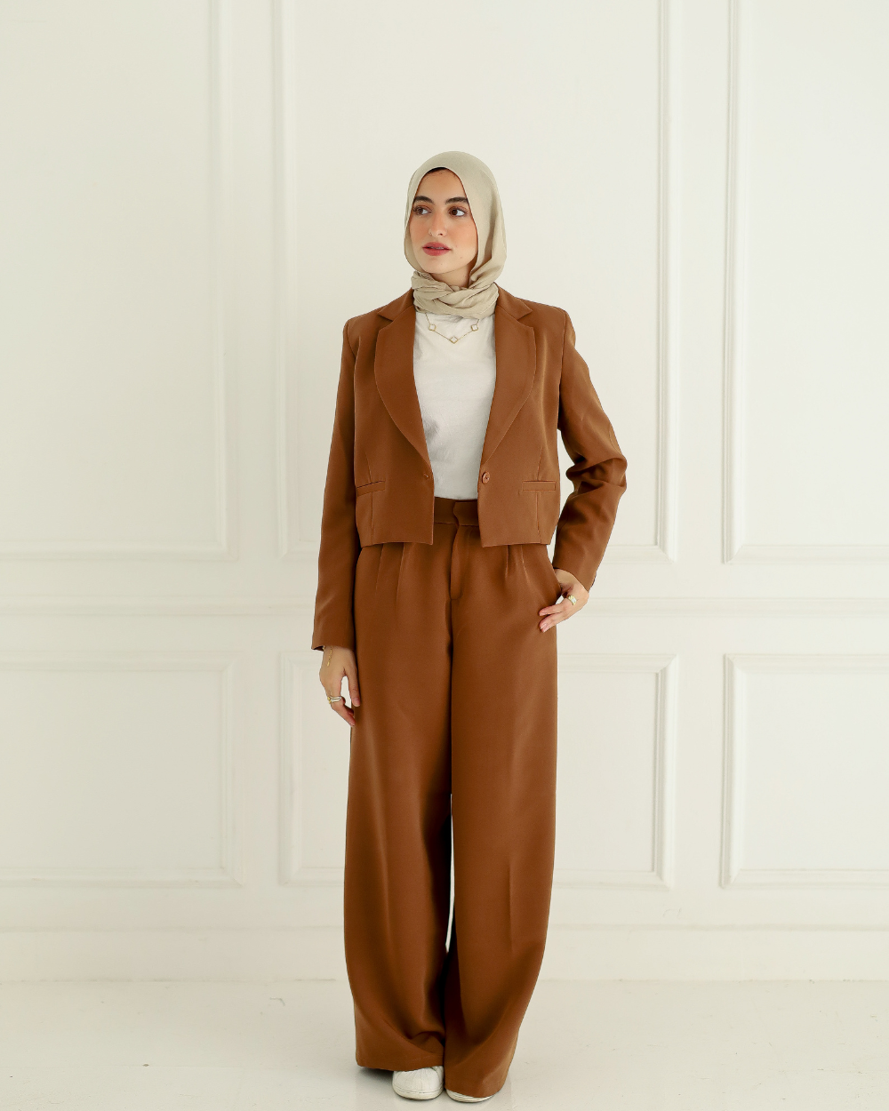 Brown Formal Pants